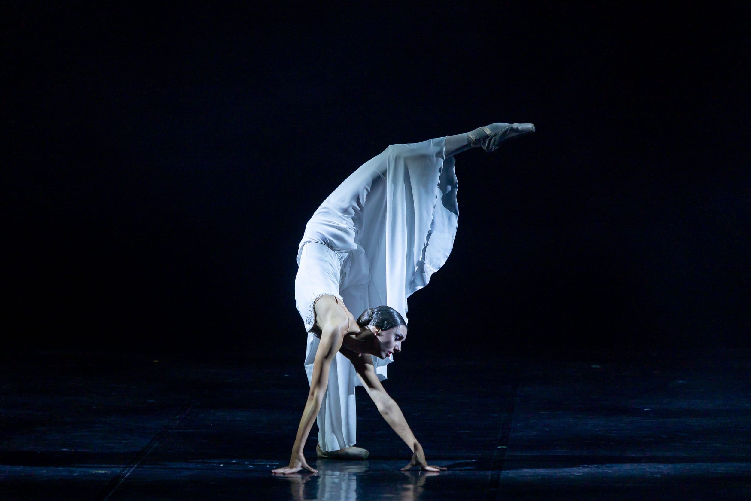 alt text should be here